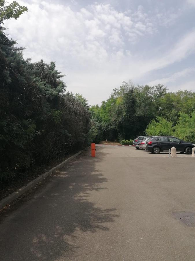 La Palma Apt Peschiera ペスキエーラ・デル・ガルダ エクステリア 写真